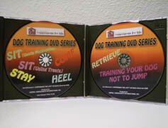 joel silverman's dvds